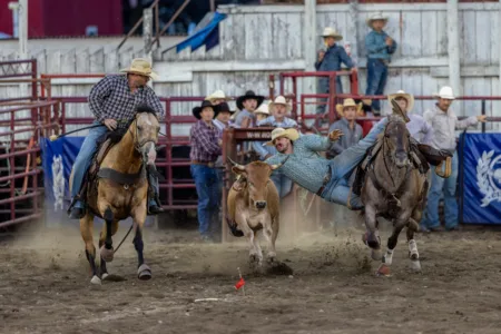 Bulls 14, Cowboys 0